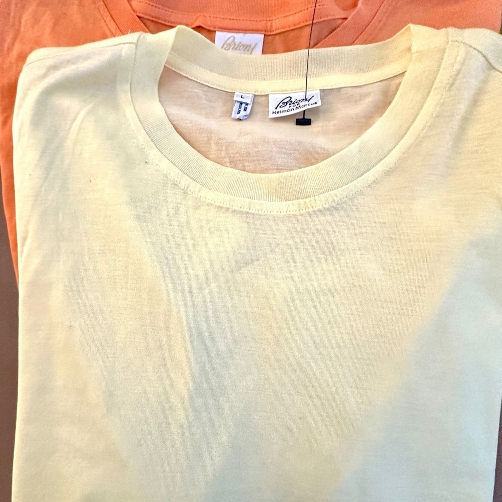 2. Brioni mens 100% cotton t shirts